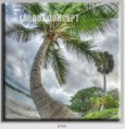 /album/photo-gallery-canvas-uri/decoratiuni-de-perete-canvas-lc-0704-jpg/